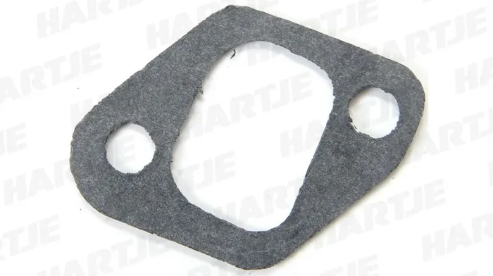 Ansaugstutzendichtung F&S Motor