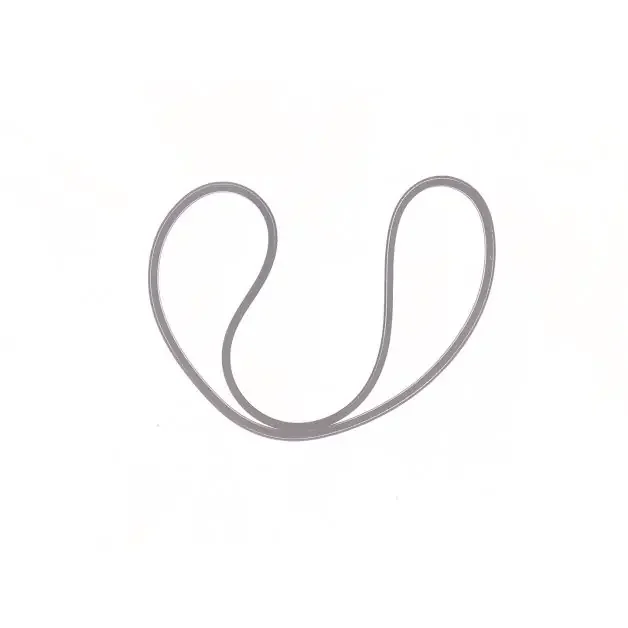 BELT, 2/3V500, 46554917