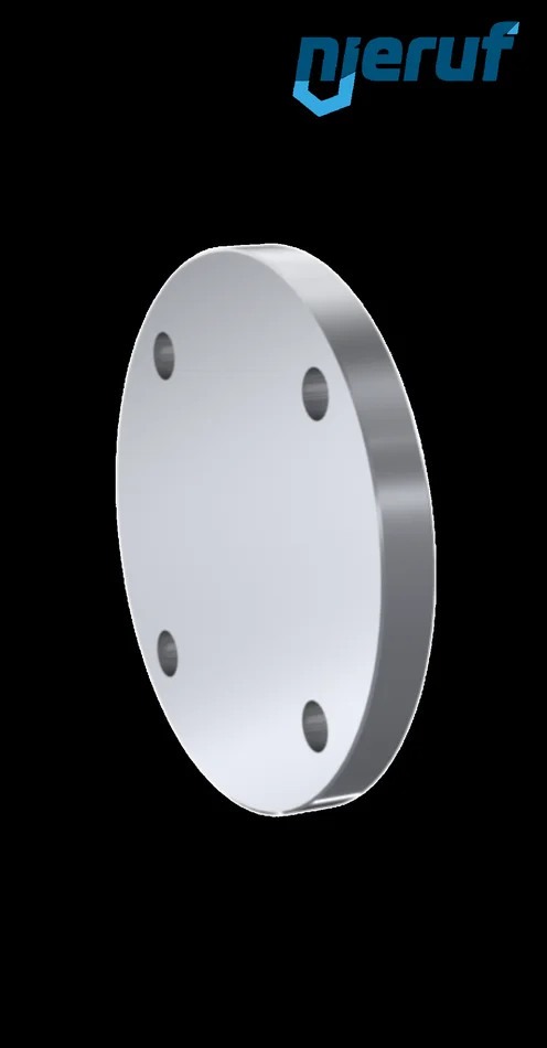 Blindflansch C22.8 / P250GH blank DN40 PN10/16/25/40 EN1092-1 05 A