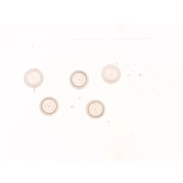 COVER, 22241210