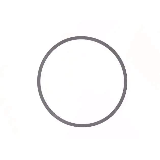Dichtungsring, 6674728