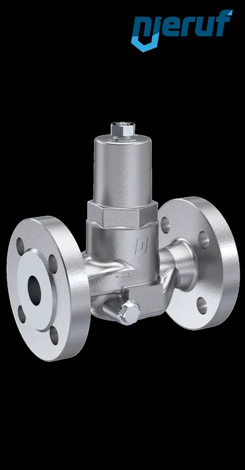Druckminderer DN 15 FDA Konform