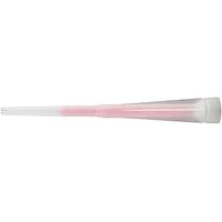 Fischer FIS MR 096448