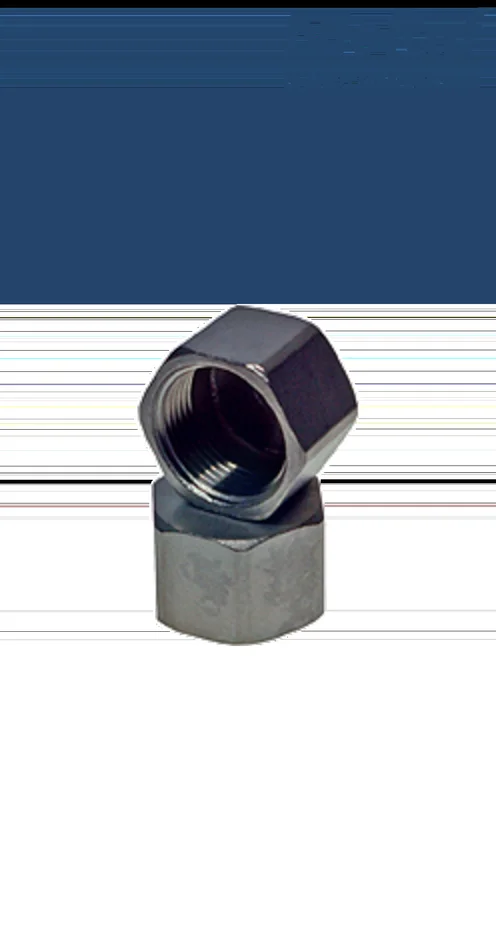 Kappe 3/4″ Zoll NPT Edelstahl 316L IG