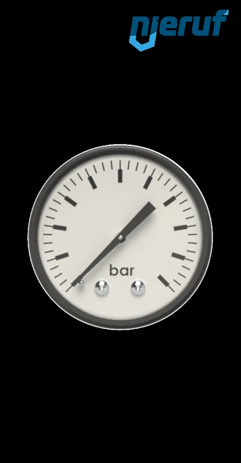 Manometer G 1/4″ axial 50 mm Stahl MM03 0 – 10,0 bar