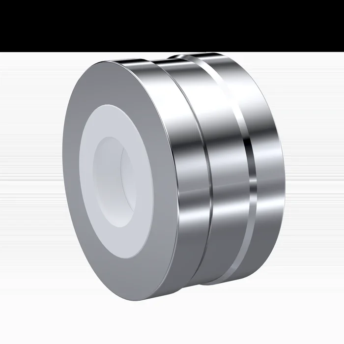 PTFE-Rückschlagventil DN65 – 2 1/2″ Zoll RV05