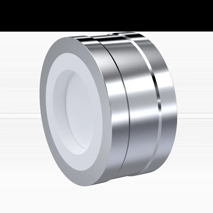 PTFE-Rückschlagventil DN80 – 3″ Zoll RV05