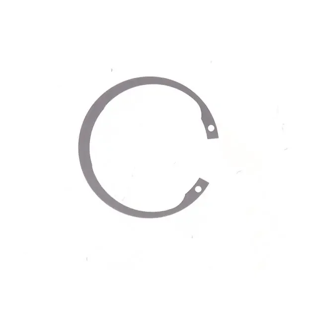 RING RETAINER, 22241509