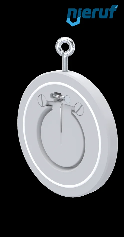 Rückschlagklappe mit Feder DN65 PVDF PTFE