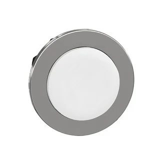 Schneider Electric Frontelement für ZB4FL1