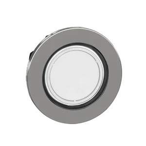 Schneider Electric Frontelement für ZB4FV013