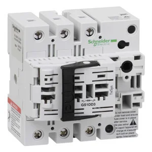 Schneider Electric Gesicherter GS1DD3
