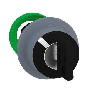 Schneider Electric Schlüsselschalter ZB5FG4C0