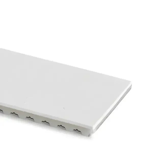 Zahnriemen 100-T10-V-Stahl mit PU-Folie weiß FDA 1 mm
